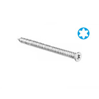 Τσιμεντόβιδες